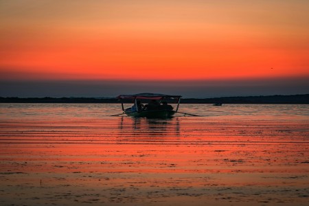 chambal river safari